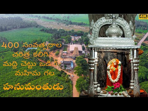 Maddi Aanjaneyaswamy Temple Vlog 4K || JangareddiGudem || Durga Prasad Appikonda||