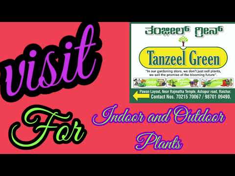 Tanzeel Green Gardening centre#Indoor and outdoor plants for gift#gardening