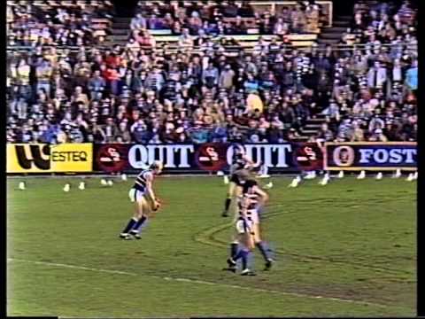 VFL Football Flashbacks : 1987 Carlton vs Footscray Round 16 Princess Park