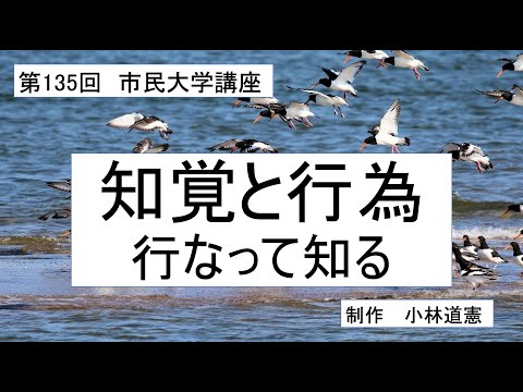 地域科学課程 知覚と行為ー行なって知る