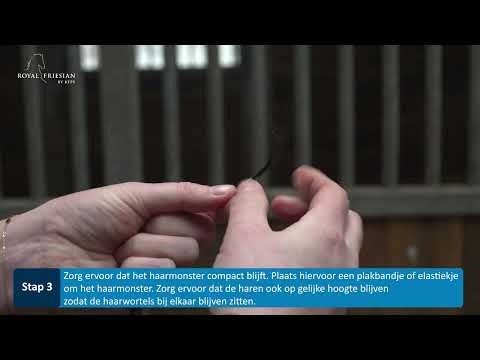 Instructies voor haarmonsterafname bij paarden thuis