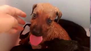 Look what our clinic manager found when she arrived to our clinic in Mexico this morning.