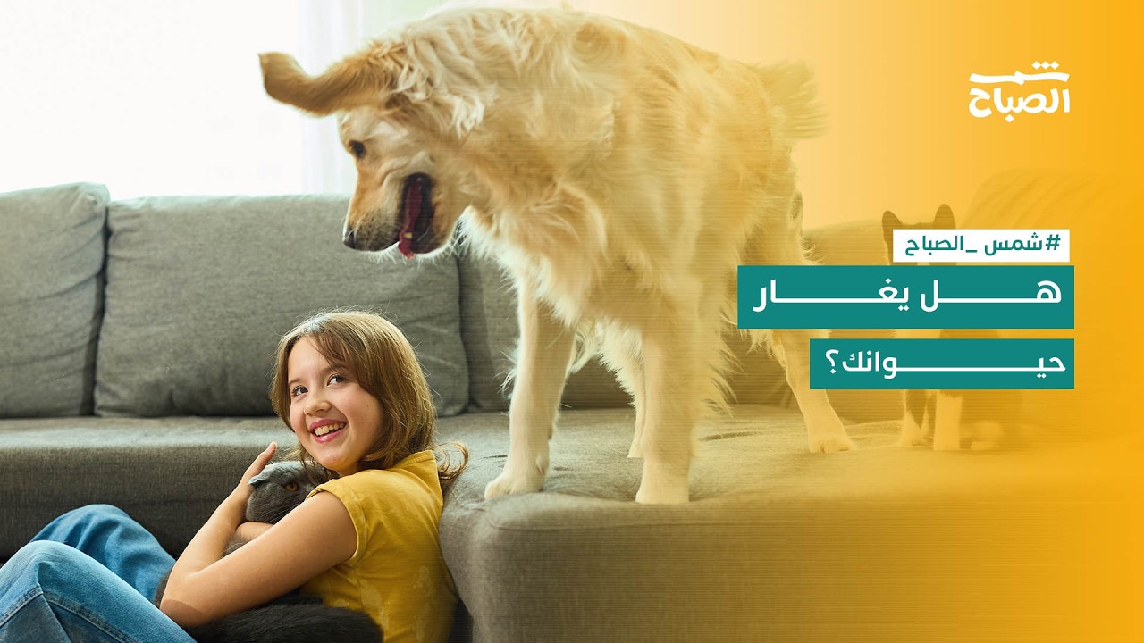 فيديو | شمس الصباح | هل تغار الحيوانات الأليفة حقاً أم أنه مجرد سلوك غريزي؟