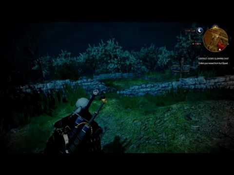 Let's Play Witcher 3 The Wild Hunt Pt. 126
