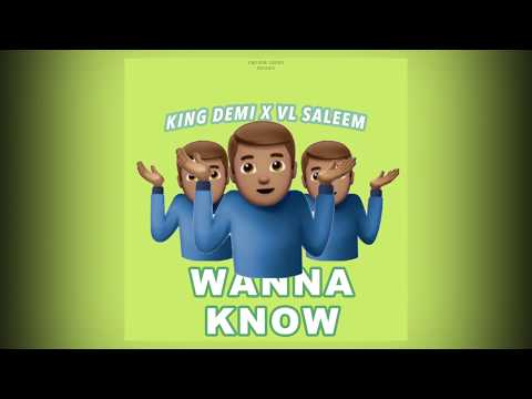 KING DEMI - WANNA KNOW (feat. VL SALEEM) | Official Audio