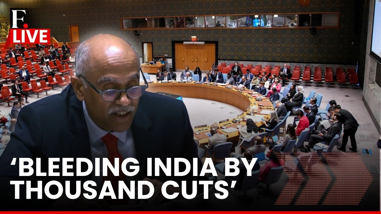 LIVE: India Slams Pak at UNSC, Accuses Pak of Sponsoring 'Cross-border Terrorism'