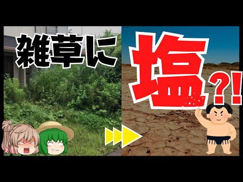 庭に塩をまく：植物にとって有益ですか？  庭園