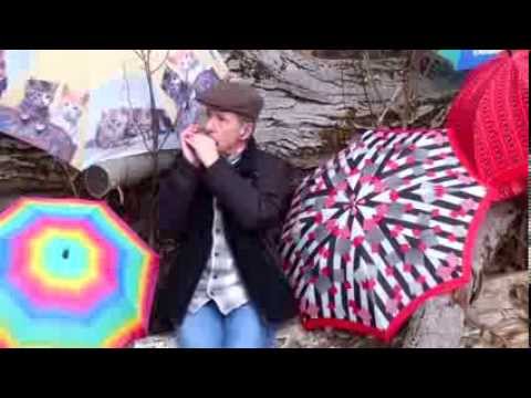 download lagu mp3 mp4 Have You Ever Seen The Rain Harmonica, download lagu Have You Ever Seen The Rain Harmonica gratis, unduh video klip Have You Ever Seen The Rain Harmonica
