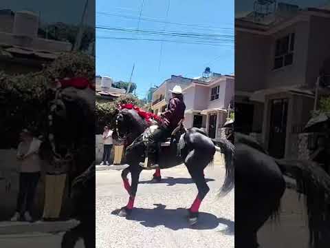desfile hípico en tejutla san marcos #feria #turismo #shoorts #videos