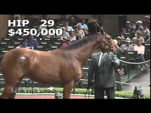 2014 September Yearling Sale - Hip 29 (Curlin-Leslie's Lady)