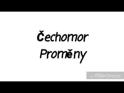 Proměny - TEXT