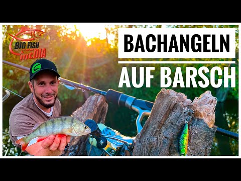 Barschalarm - Highlight am Bach - Angeln mit Christian
