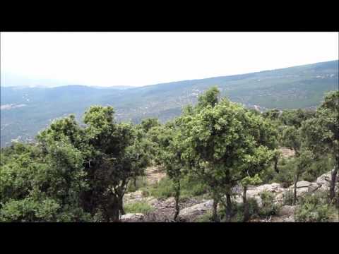 Estaciones de Monitoreo Intensivo Sierra Nevada EMI05c.wmv