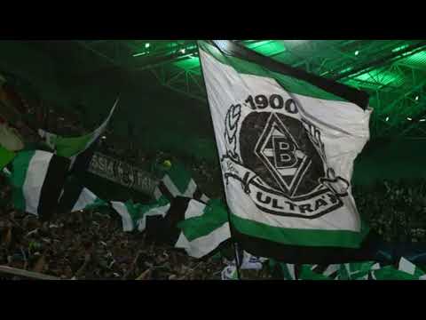 Low Rhine Lander - Wir sind die Fohlen / Borussia Mönchengladbach Hymne Song 2024/25