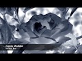 Joanie Madden - The Black Rose (Roisin Dubh) - Song of the Irish Whistle #celticmusic #irishmusic