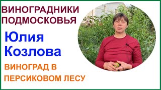 p2654 - причини помилки