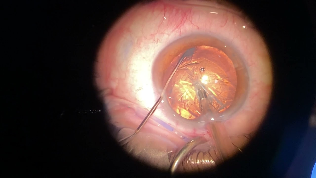 Jazmin Ariadna Salas García-7