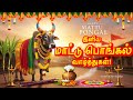Happy Mattu Pongal Whatsapp Status Tamil Mattu Pongal Whatsapp Status Tamil Mattu Pongal Status 2026
