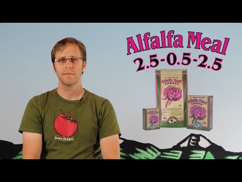video_thumbnail2