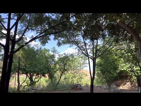 Paul Ferrini , Denn Christus lebt in jedem von euch