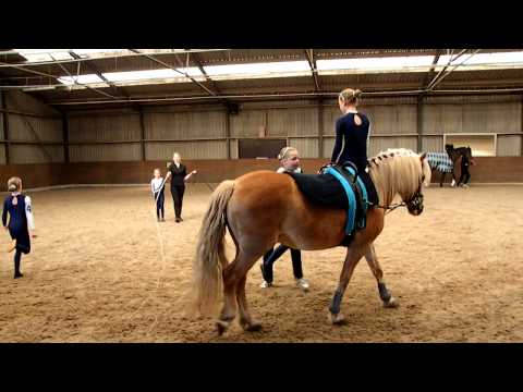 Hornedamme Lisse 17-4-2010 (1).MP4