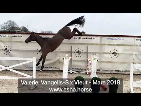 Valerie: Vangelis-S x Vleut