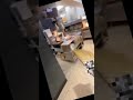 Guy Steals Mcdonalds Broom 0 2 GPA Activities