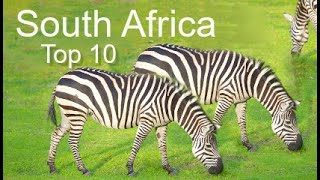 South Africa Top Ten Things To Do, by Donna Salerno Travel