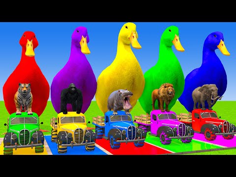 Long Slide Game With Cow Elephant Gorilla Hippopotamus Tiger 3d Animal Game Funny 3d Animals