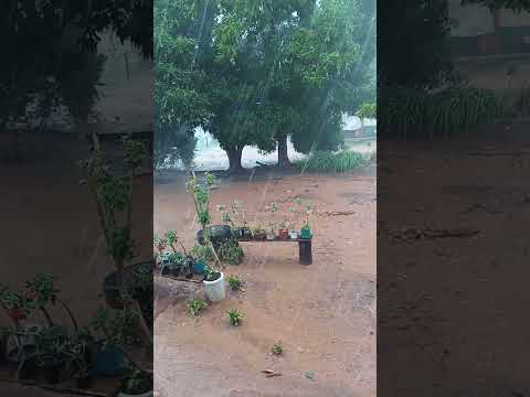 muita chuva ☔ aqui em parecis Rondônia.