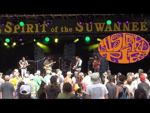 download lagu mp3 mp4 Custard Pie Band, download lagu Custard Pie Band gratis, unduh video klip Custard Pie Band