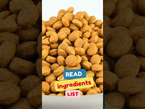 Discover the best dog food for your furry friend!