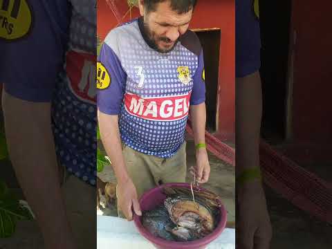 godo do são Francisco dos mariano Piauí 🇧🇷