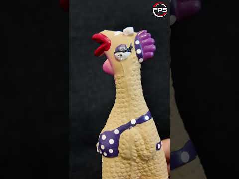 Chicken toy squeaky toy for dogs #shorts