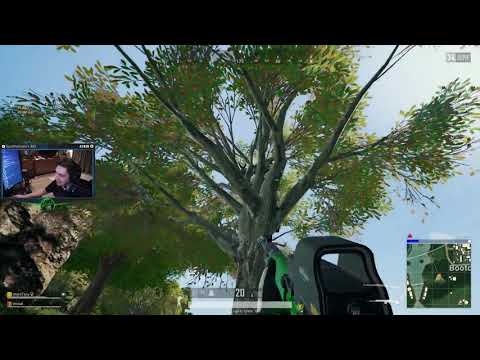 58  Monkeys added to Sanhok  by babygorillaa  172K views  shroud