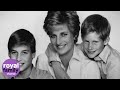 William And Harry Share Touching Memories Of Princess Diana