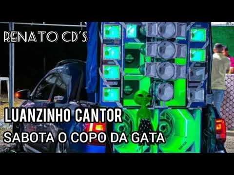 LUANZINHO CANTOR - SABOTA O COPO DA GATA (MÚSICA NOVA DEZEMBRO 2023) {RENATO CD'S}