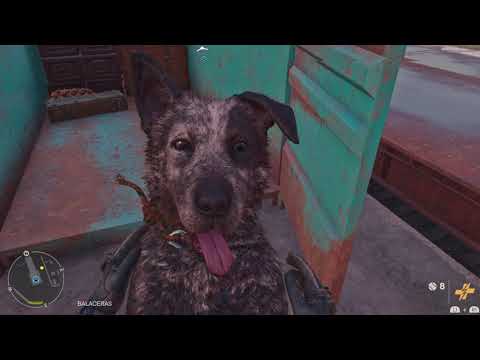 Far Cry 6 - 59 - Bum albo nic , Boom boom, nowy towarzysz , reedukacja, zebra