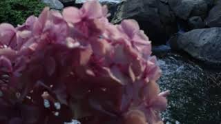 الدولة الهاشمية العباسية ( 223-أ ) image