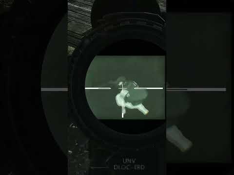 BEST WOODS RAT SPOT!! SUBSCRIBE!!