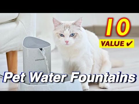 10 Best Value Pet Water Drinking Fountains