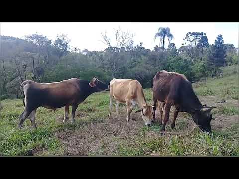 visita na estância...