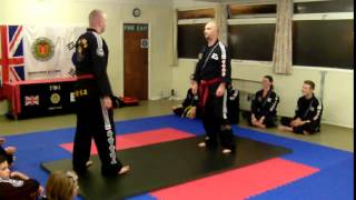 preview picture of video 'Adam - Hosin Sool Demo - Sudbury Hapkido Moo Moo Kwan'