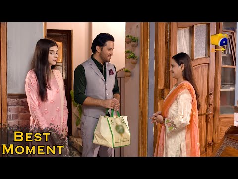 Nikah Episode 20 | 𝐁𝐞𝐬𝐭 𝗠𝗼𝗺𝗲𝗻𝘁 𝟎𝟕 | Haroon Shahid | Zainab Shabbir | HAR PAL GEO