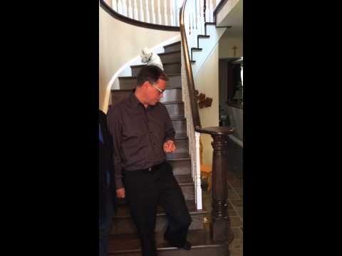 Packer - Oshawa