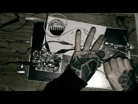 METSÄÄN - modulated WASP filter with tweaked distortion mess (prototyping)