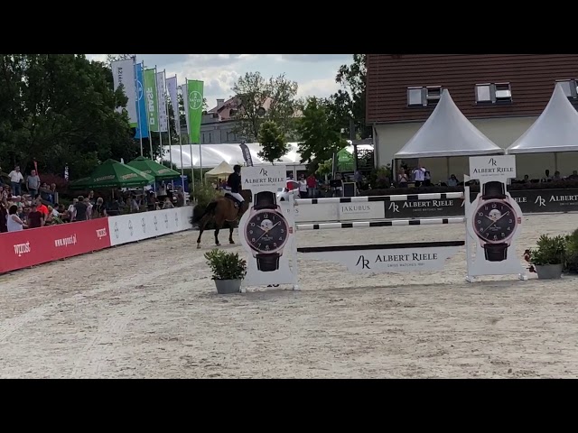The half-brother of the mother of this embryo is the CSI 1.60m jumping horse Chacitol with rider Krysztof Okla.