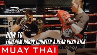 Forearm Parry Counter Push Kick