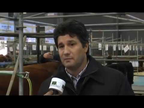 AGRO 5 - PALERMO 2015- INFORME 3 - 15-8-2015