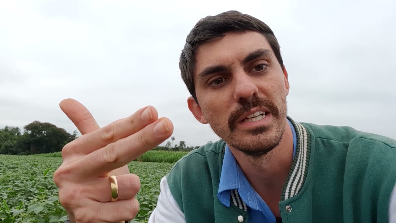 Fotossíntese x Fotorrespiração x Plantas C3eC4 x Fertilidade do Solo